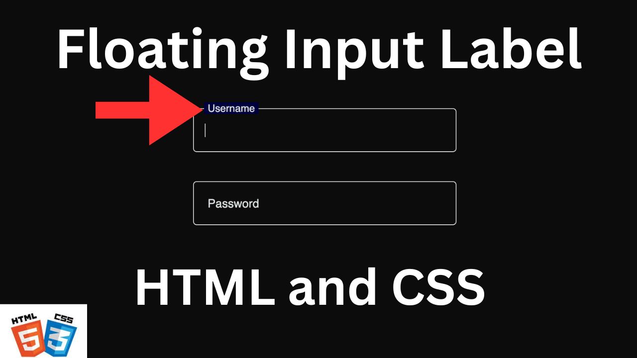 How to Create Floating Input Label Using HTML and CSS | CSS Tutorial